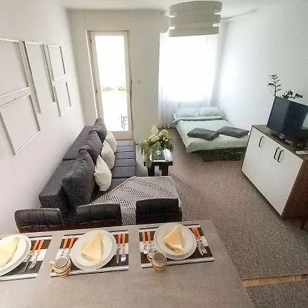 Apartment Vladimir *