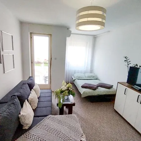Apartment Vladimir Novi Sad