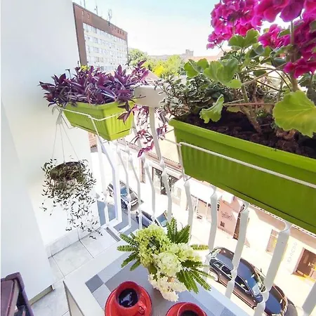 Apartment Vladimir Novi Sad