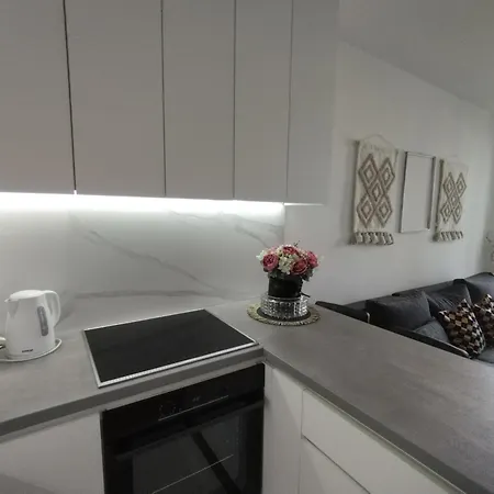 Apartment Vladimir Novi Sad
