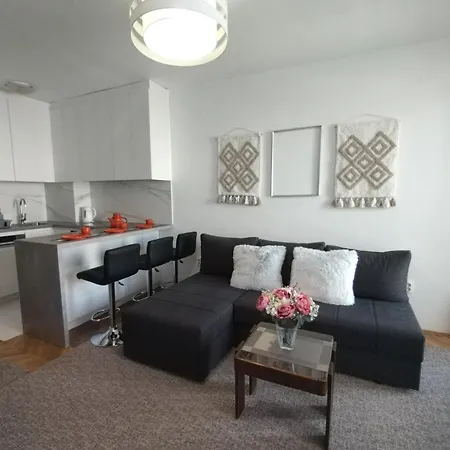 Apartment Vladimir *