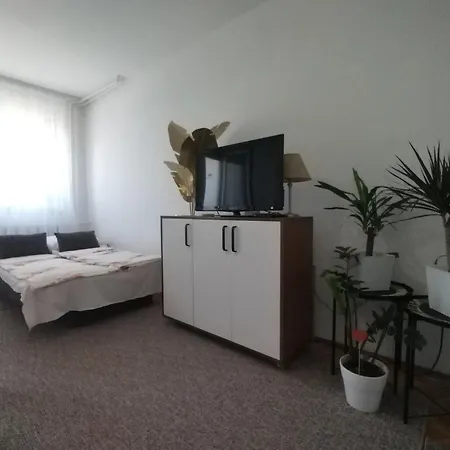 Vladimir * Novi Sad