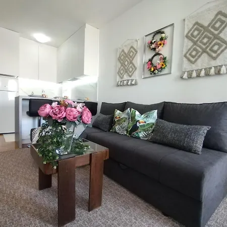 Vladimir Apartment