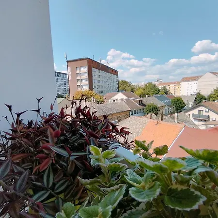 Vladimir Apartment